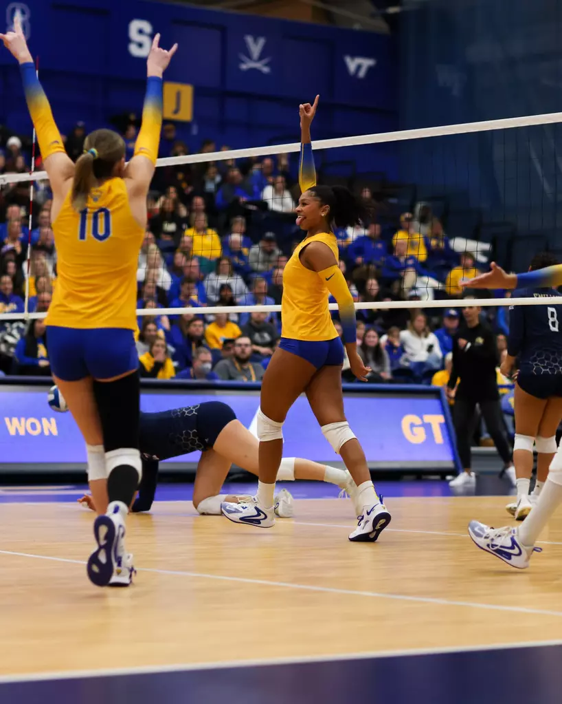 Volleyballspieler